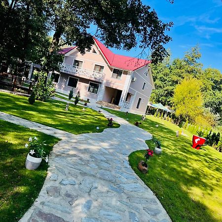 Отель Pensiunea Pink House Runcu Рунку Экстерьер фото